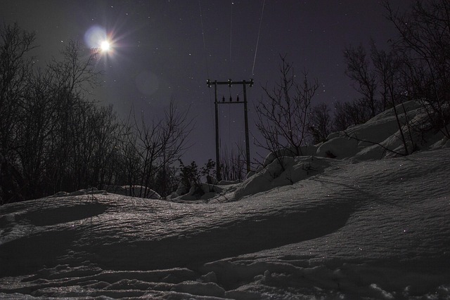 Free Night Moon photo and picture