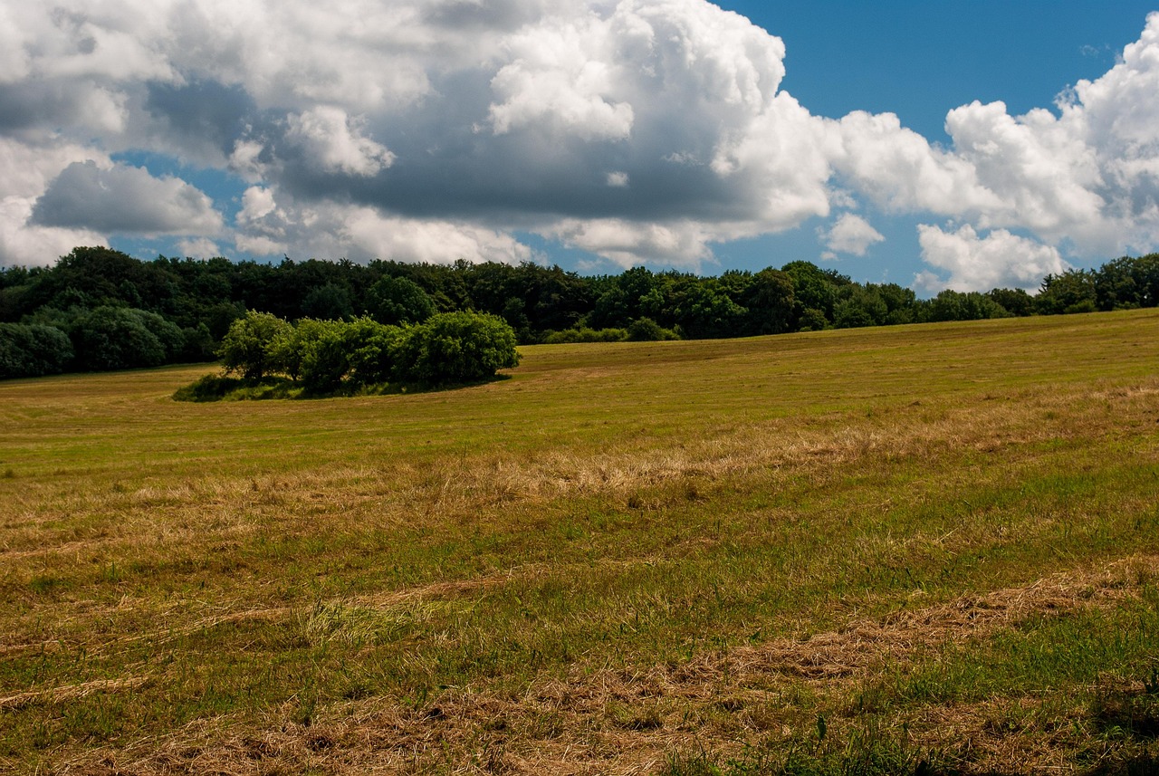 Free Meadow Clouds photo and picture