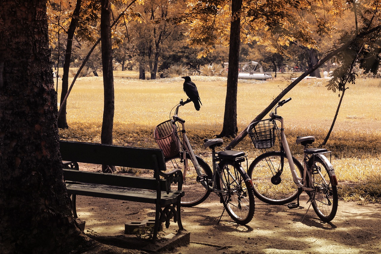 From Support to Sales Navigating the Risky Transition of Admin Staff