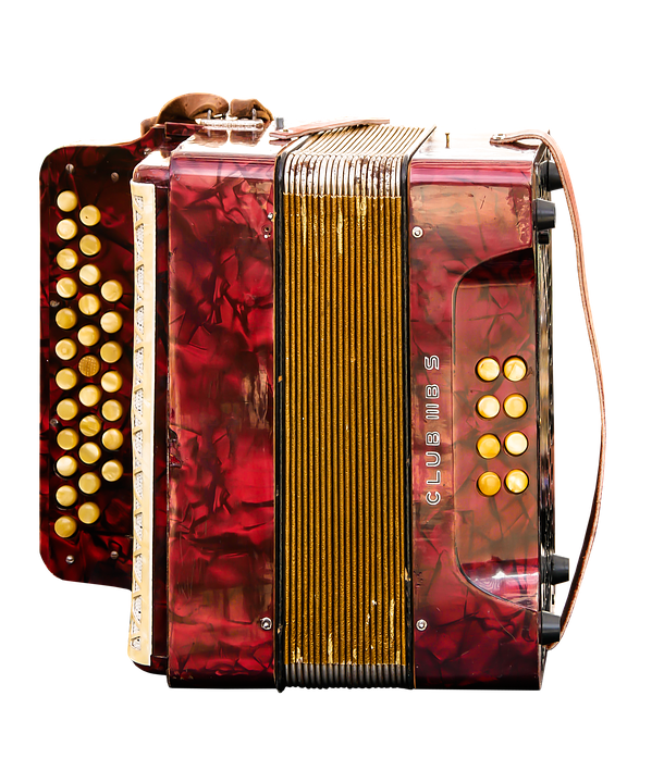 85 Gambar Alat Musik Accordion Terbaik 85 Gambar Alat Musik Accordion Terbaik