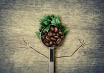 coffee, bean, spoon
