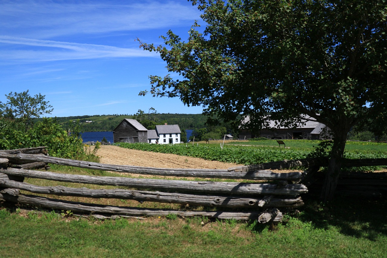 Farm - free online jigsaw puzzle photo