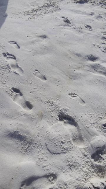 Free Footprints Sand photo and picture