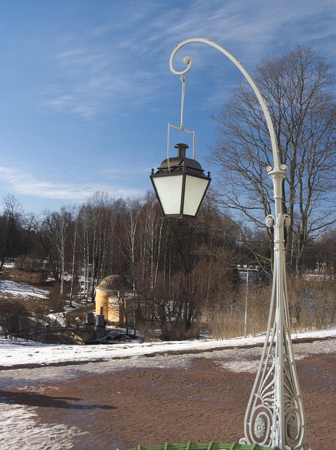 Free Snow Winter photo and picture