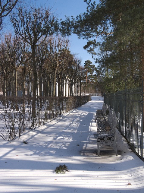 Free Winter Snow photo and picture