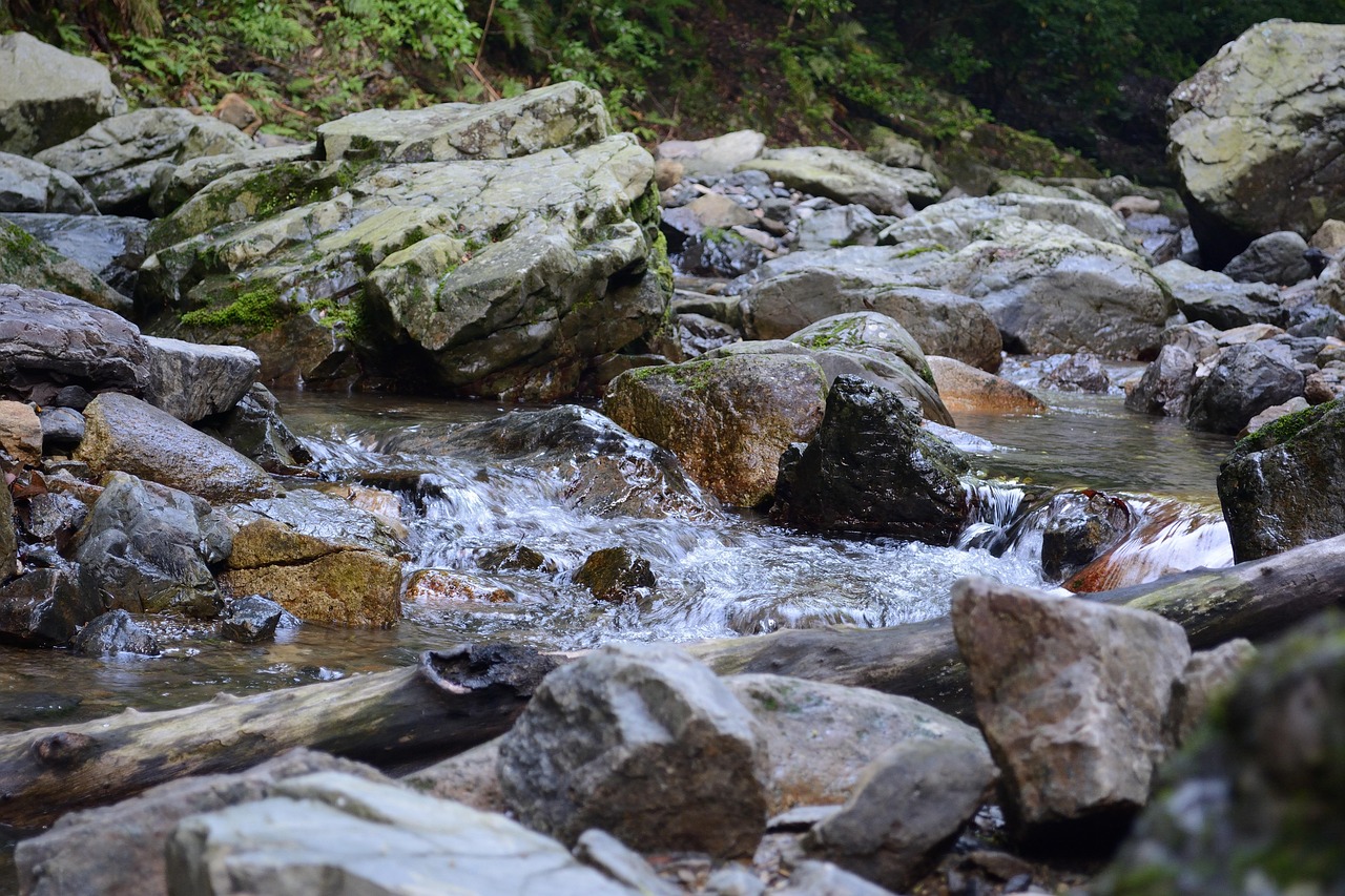 River Flow Stream Free photo on Pixabay Pixabay