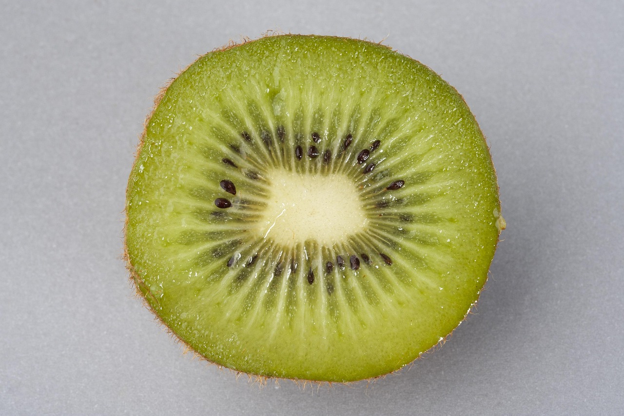 900개 이상 무료 Kiwi 및 키위 사진 - Pixabay