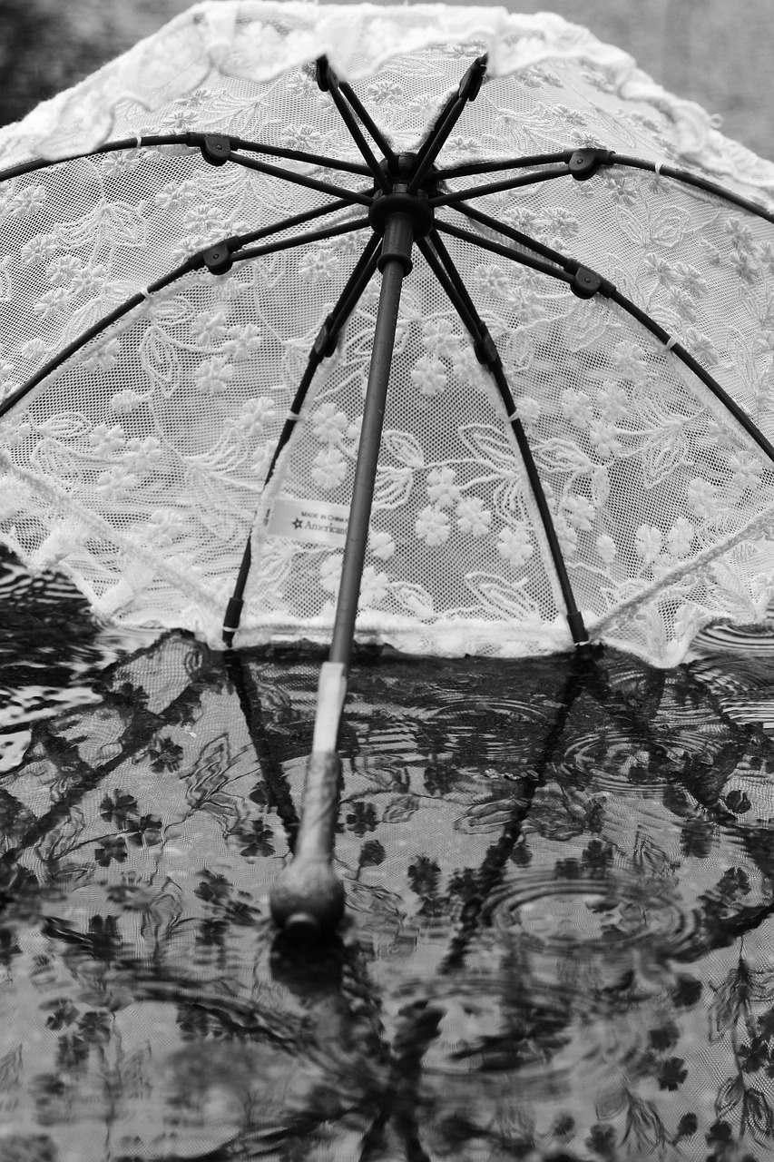1,000+ Free Umbrella Rain & Umbrella Images Pixabay