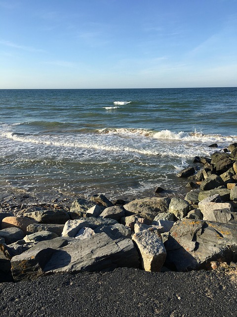 Free Coast Beach photo and picture