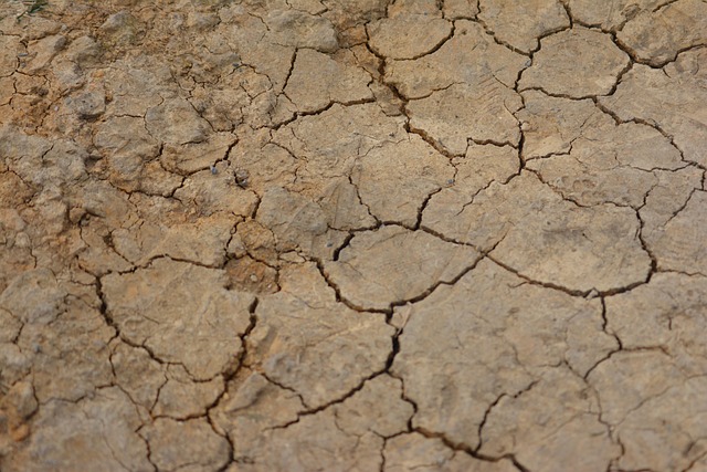 Free Cracked Dirt Texture photo and picture