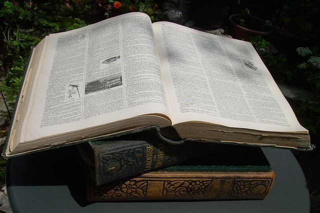 Free Dictionary 20Th Century photo and picture