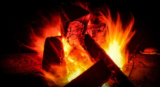 Free Campfire Tree photo and picture