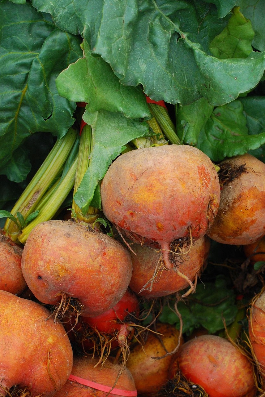 Golden Beets Gold Rüben · Kostenloses Foto auf Pixabay