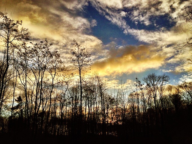 Free Sky Sunset photo and picture