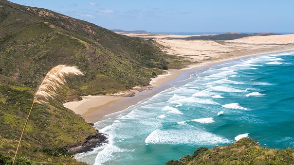 Free Cape Reinga New Zealand photo and picture