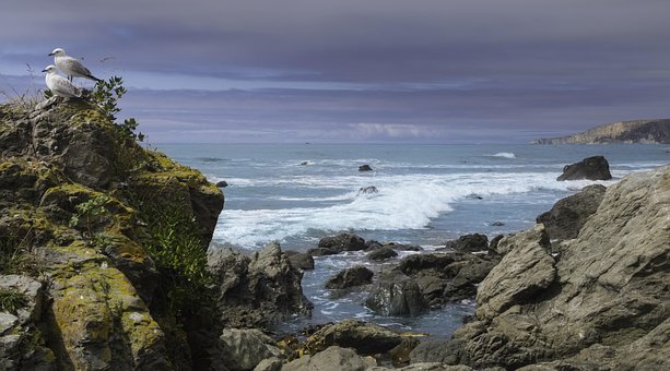 Free Kaikoura Pacific Ocean photo and picture