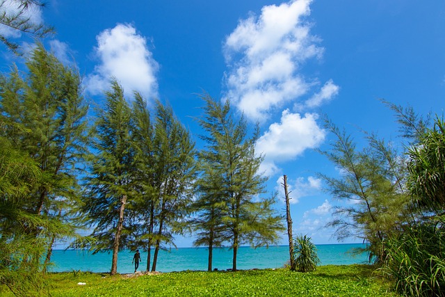 Free Andaman Sea Background photo and picture