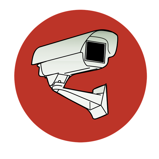 Free camera security crime illustration