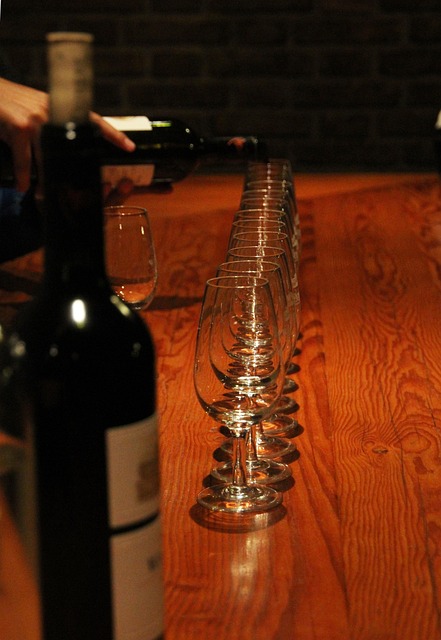 wine, tasting, glasses, red, malbec, taste, drink, brown wine, malbec, malbec, malbec, malbec, malbec