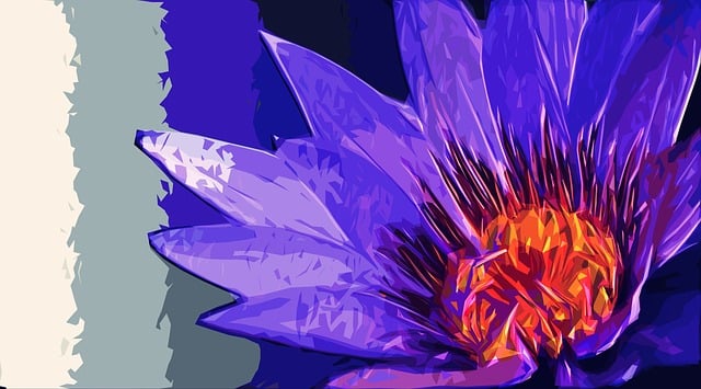 Free lily nature flower illustration
