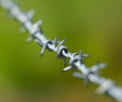 Free Fence Wire Mesh Fence photo and picture