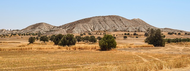 Landskab, Sommer, Sommerlandskab, Natur