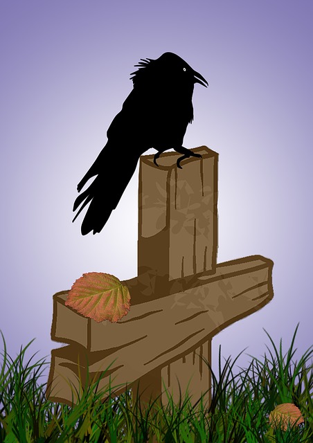 Free Crow Bird illustration and picture