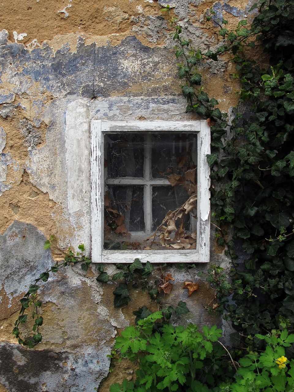 Window Old Wall Free photo on Pixabay