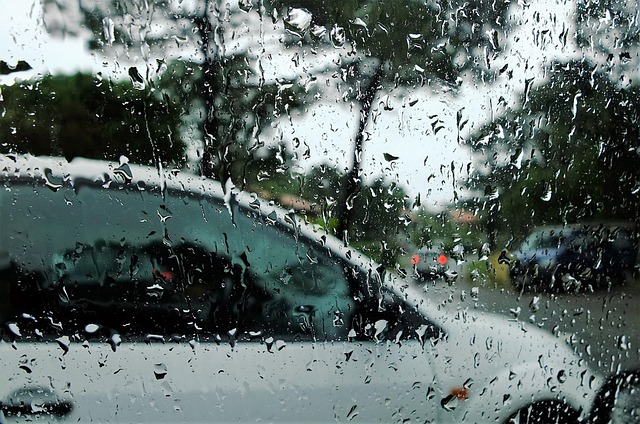 Free Rain Automobile photo and picture
