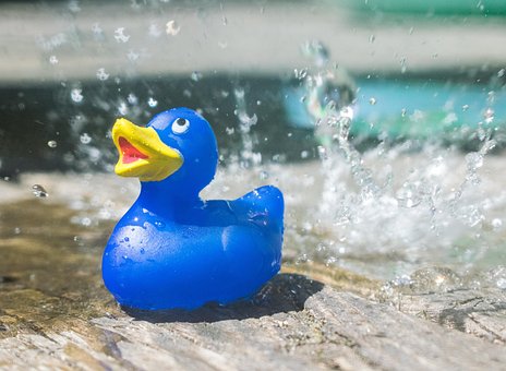 Rubberduck, Spielzeug, Natur, Wasser