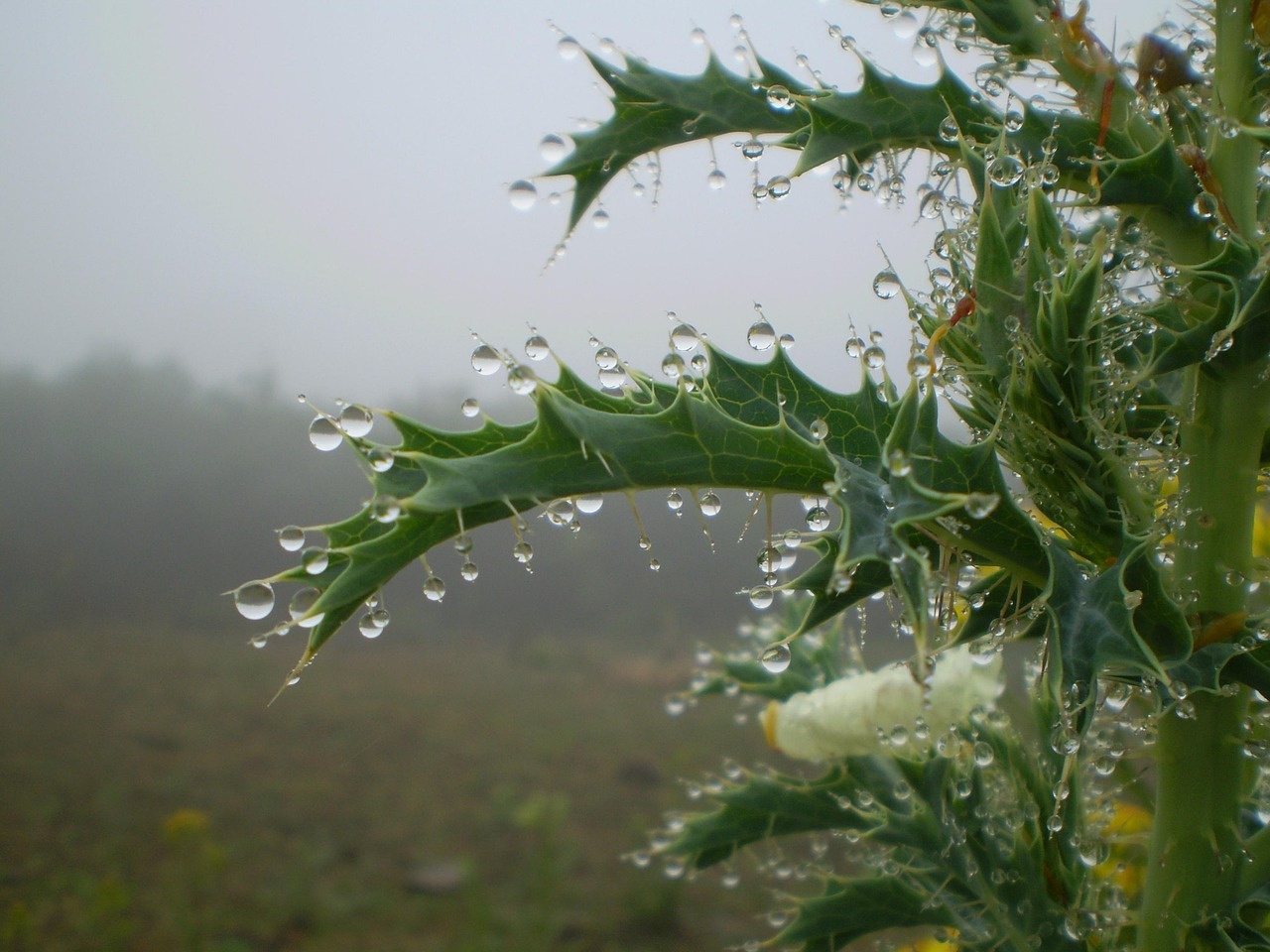 Más de 100 imágenes gratis de Rain Theme y Rain - Pixabay