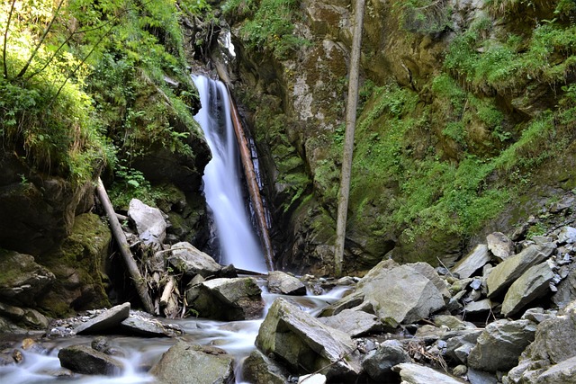 Free Waterfall Nature photo and picture