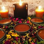 salve, herb, flower