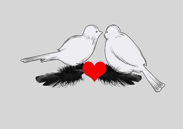 Free birds heart feathers illustration