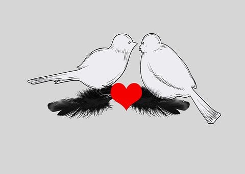 Free Birds Heart illustration and picture