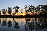 yellow water billabong, yellow waters, kakadu