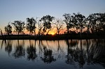 yellow water billabong, yellow waters, kakadu