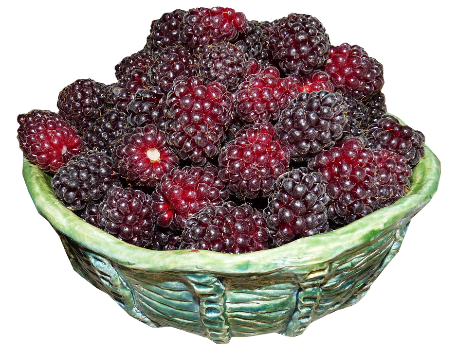 Frutti Di Bosco, In, Ciotola
