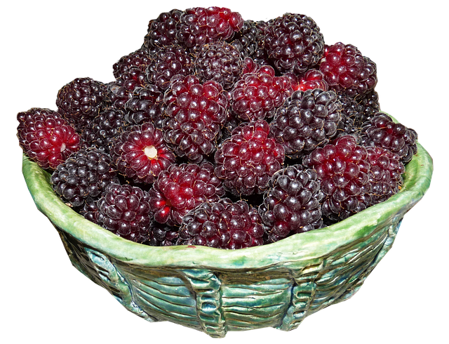 Obst, Reif, Loganberries, Gesund