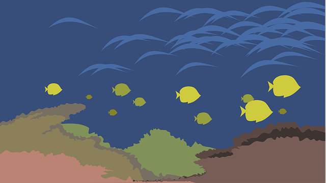 Free ocean fish the seabed vector