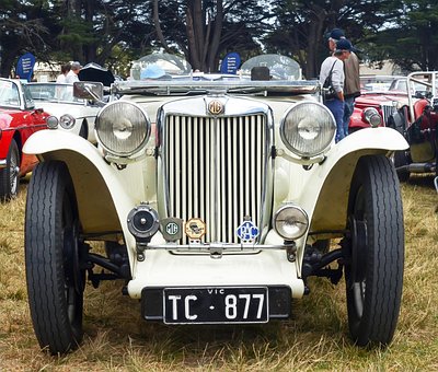 Free Mg Mg Tc photo and picture