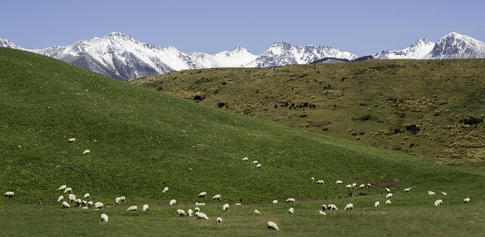 Free South Island New Zealand photo and picture