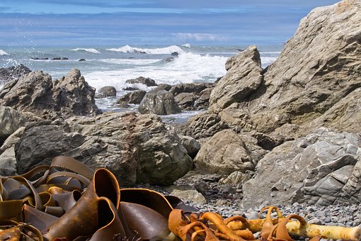 Free Kaikoura Kaikoura Coast photo and picture