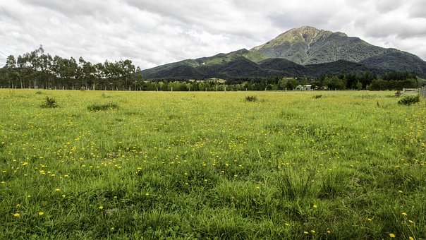 Free Methven Farm photo and picture
