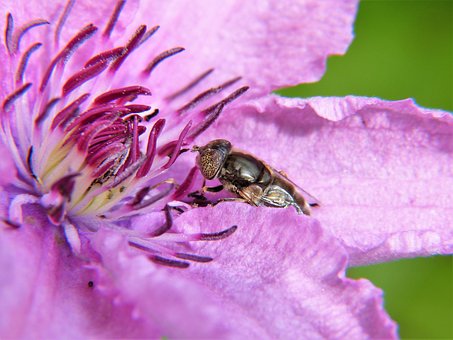 7년전 연대 보증 파산 면책 신청 기간6