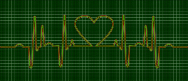 Free heartbeat pulse heart illustration