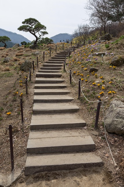 Free Stairs Wooden Stairs photo and picture