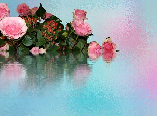 Roser, Blomster, Natur, Blomst