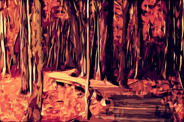 Free forest autumn trees illustration