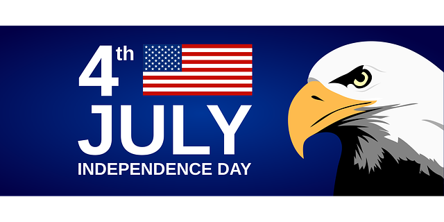 Free usa america eagle vector